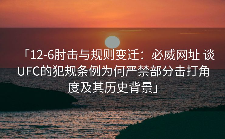 「12-6肘击与规则变迁：必威网址 谈UFC的犯规条例为何严禁部分击打角度及其历史背景」