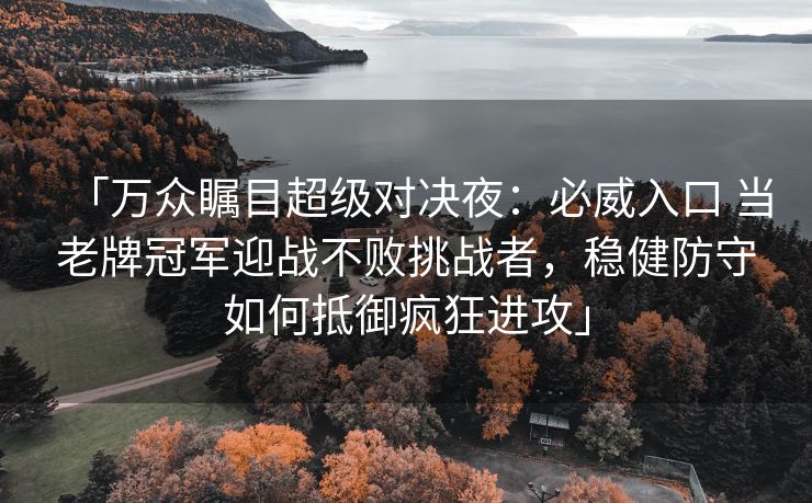 「万众瞩目超级对决夜：必威入口 当老牌冠军迎战不败挑战者，稳健防守如何抵御疯狂进攻」